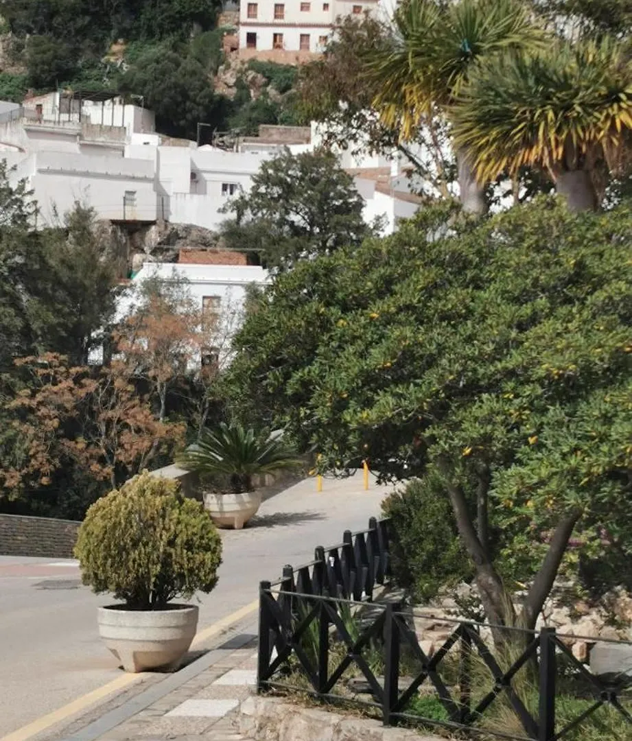 El Rincon De Los Alcornocales Alcala de los Gazules